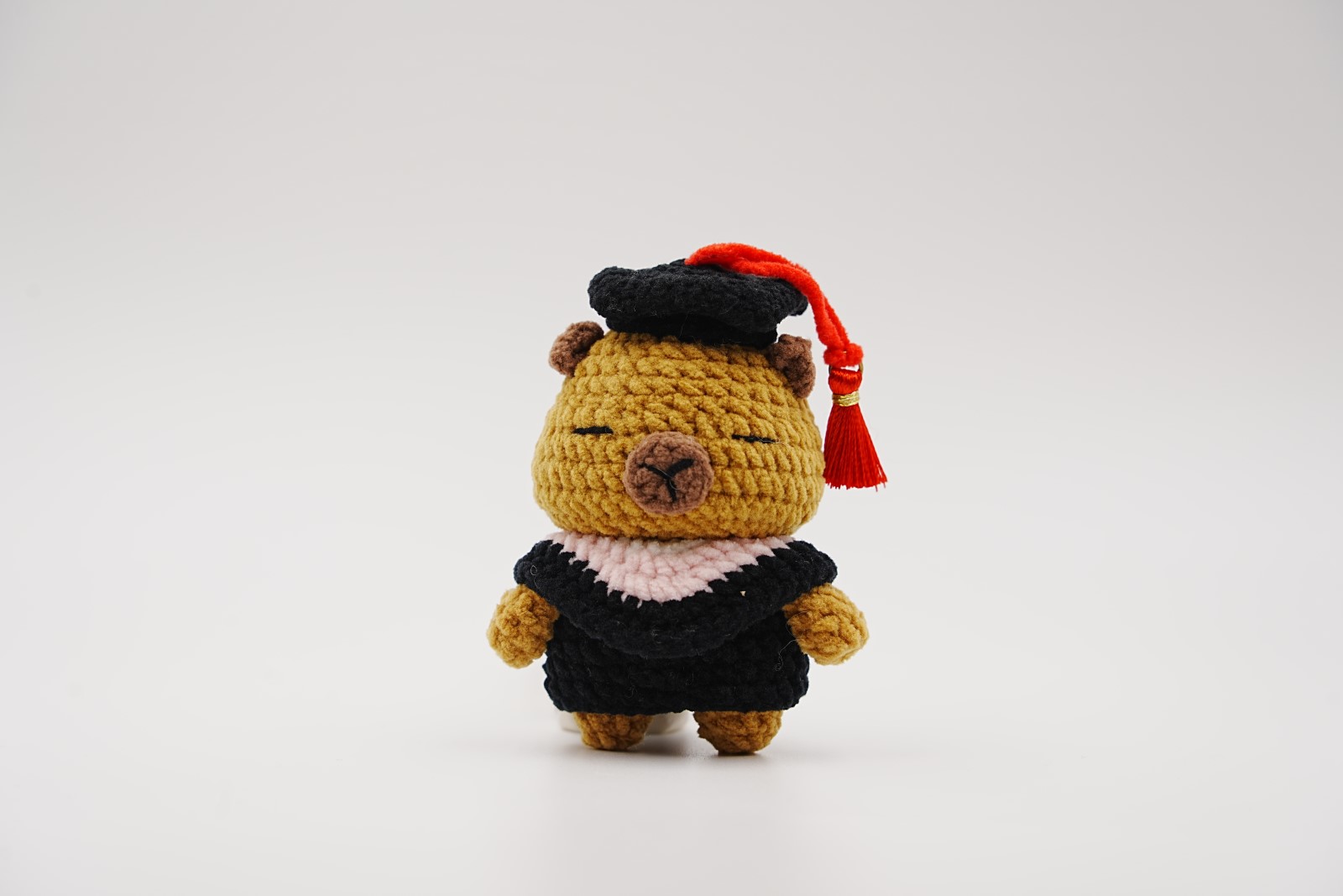 crochet-capybara-012 Doctor Capybara - Image 1