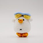 Book Duck