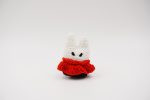 Red Cloak Knight