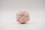 Squishy Bun Pig - Image 2