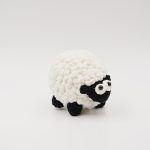 Curly Meadow Sheep