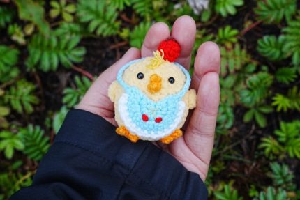 Chick Nest Set
